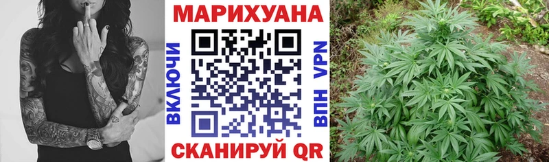 Бошки марихуана марихуана  хочу наркоту  Всеволожск 